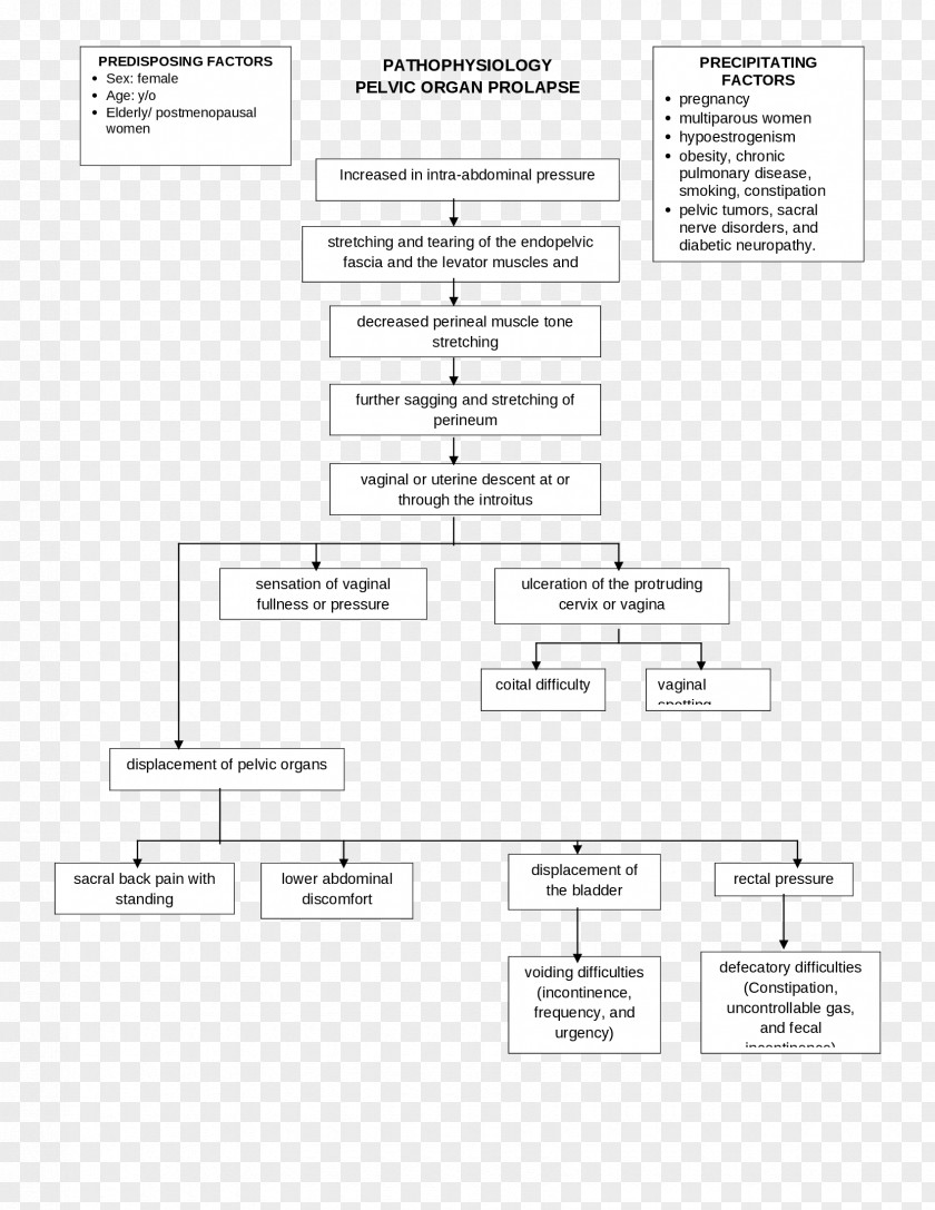 Design Document Line Angle PNG