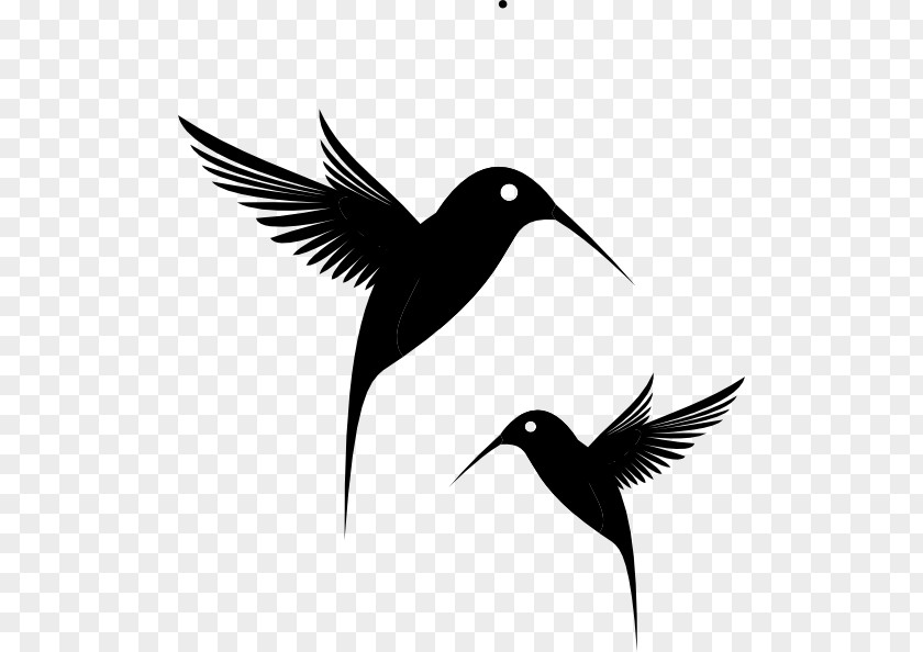 Hummingbird Black Clip Art PNG