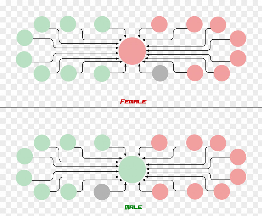 Jewellery Danganronpa V3: Killing Harmony Earring Chart Interpersonal Relationship PNG