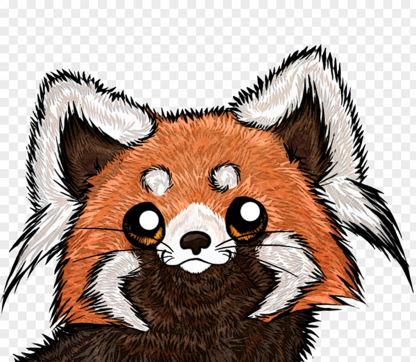 Raccoon Giant Panda Red Fox Drawing PNG