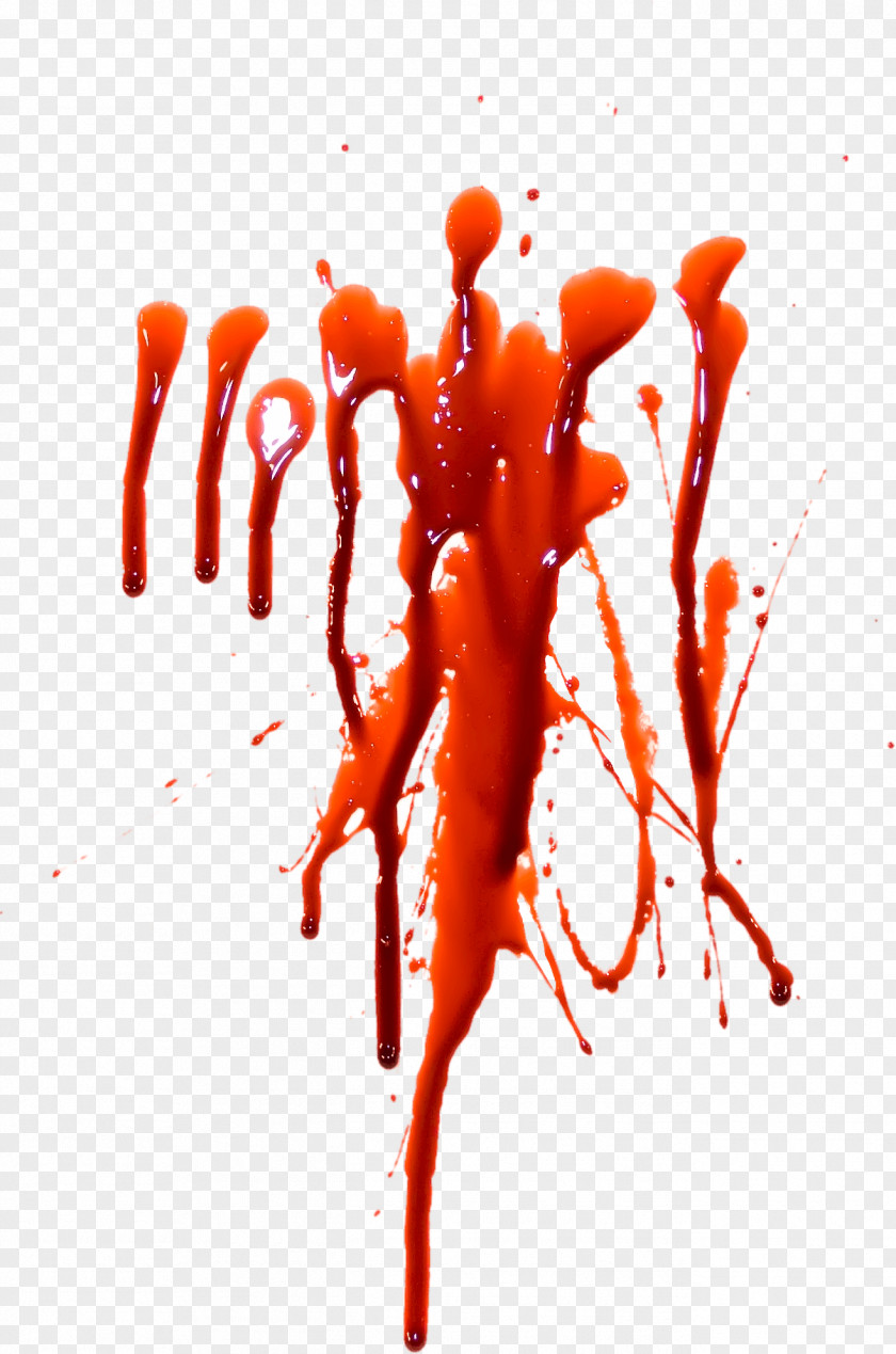 Blood Image Clip Art PNG