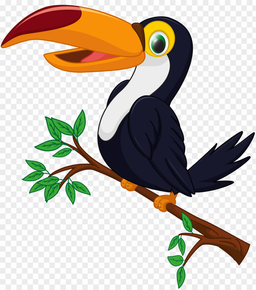 Boulders Stamp Vector Graphics Clip Art Bird Toucan Illustration PNG