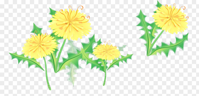 Floral Design PNG