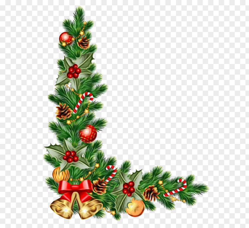 Flower Christmas Eve School Background Design PNG