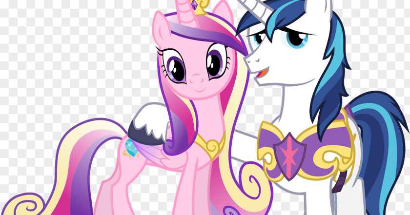 Good Evening Princess Cadance Shining Armor My Little Pony Equestria PNG