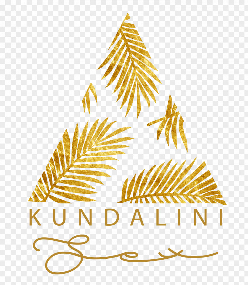 Kundalini Silhouette Maui Kihei Engagement Film Wedding PNG