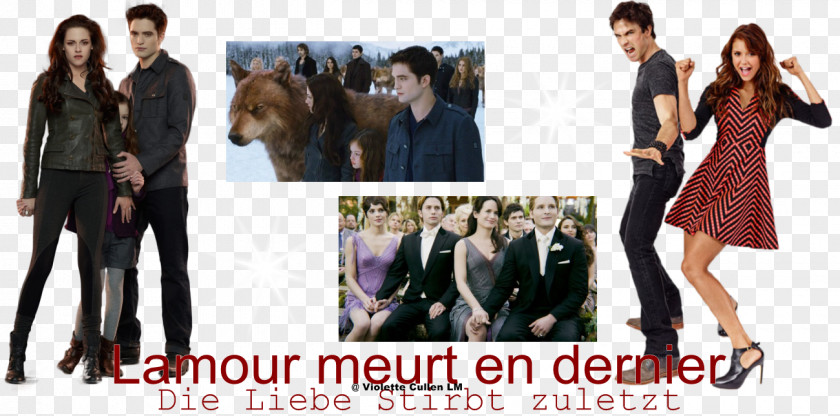 Season 1Vampire Elena Gilbert Damon Salvatore Niklaus Mikaelson The Vampire Diaries PNG