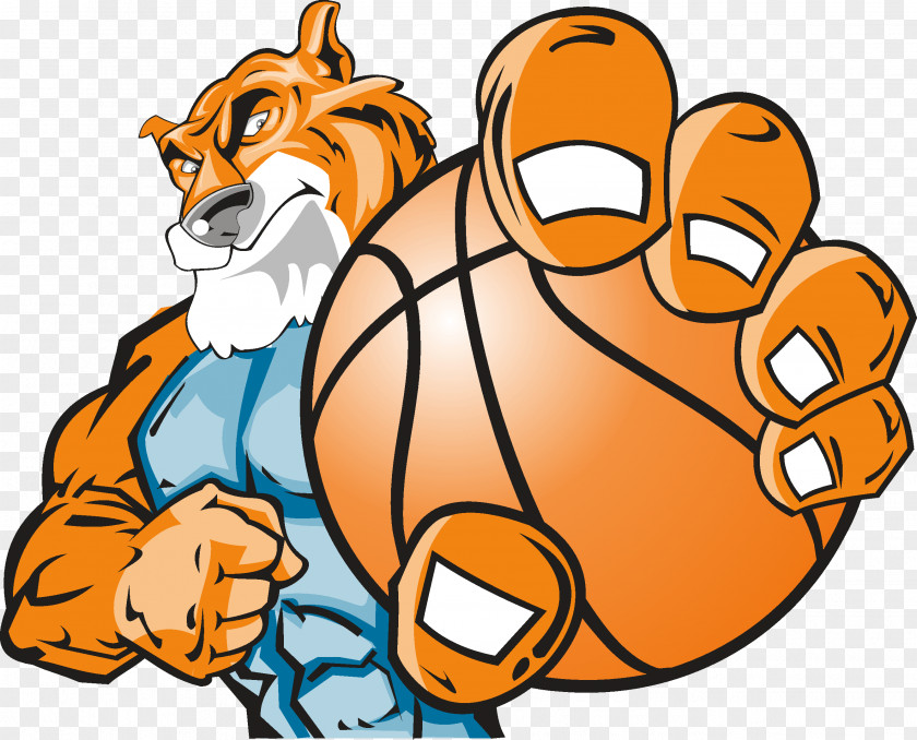 Tiger NCAA Men's Division I Basketball Tournament Houston Cougars Clip Art PNG