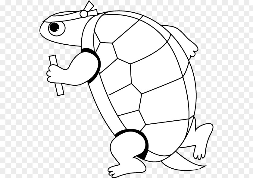 Tortoide Drawing Turtle Line Art PNG