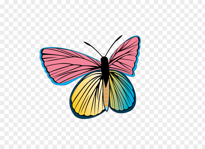 Vector Colorful Butterfly Clip Art PNG