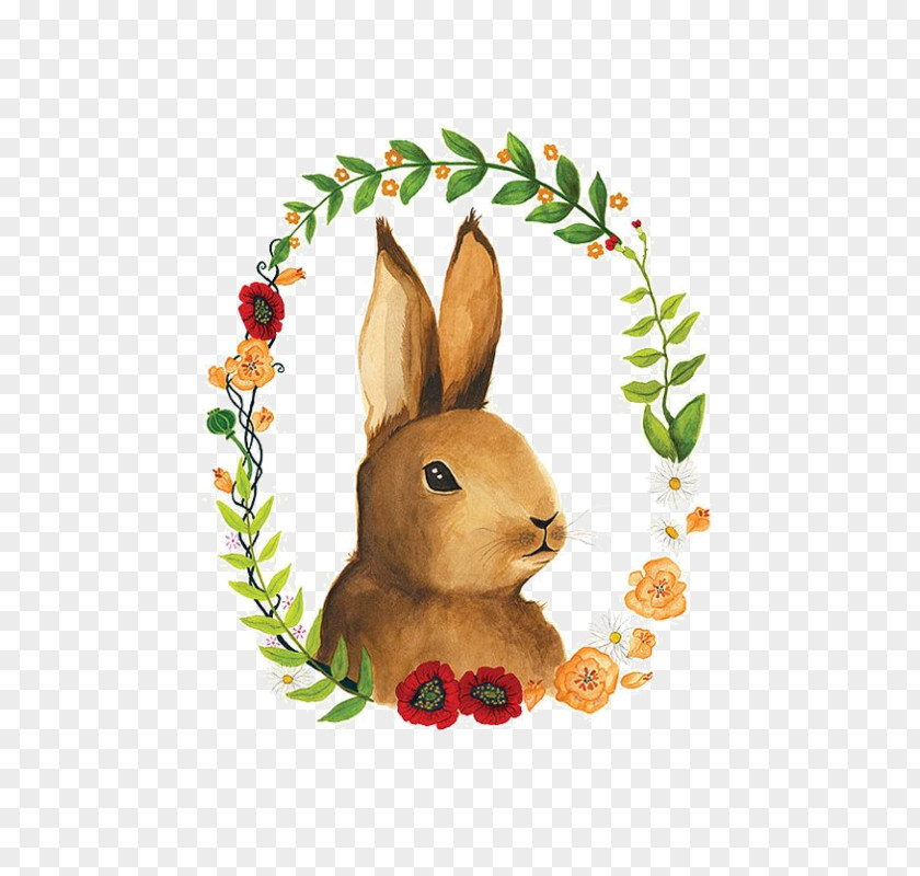 Rabbit Leporids Drawing Painting PNG