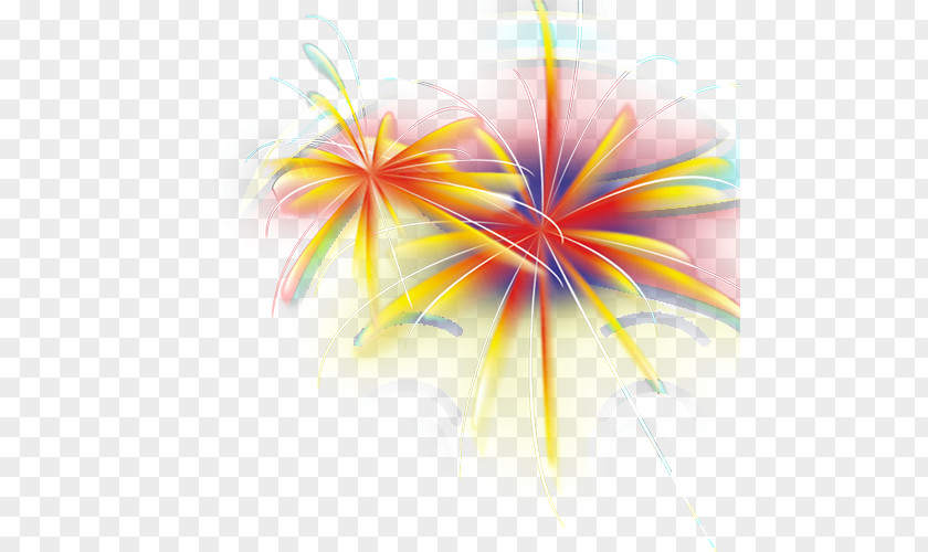 Sumidagawa Fireworks Festival Computer Animation Artificer PNG