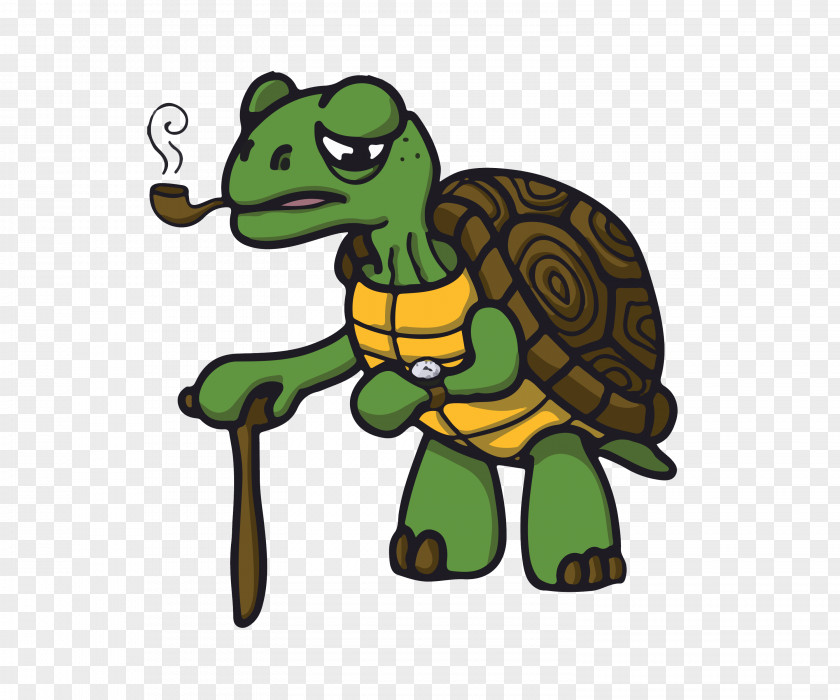 Turtle Cartoon Reptile PNG