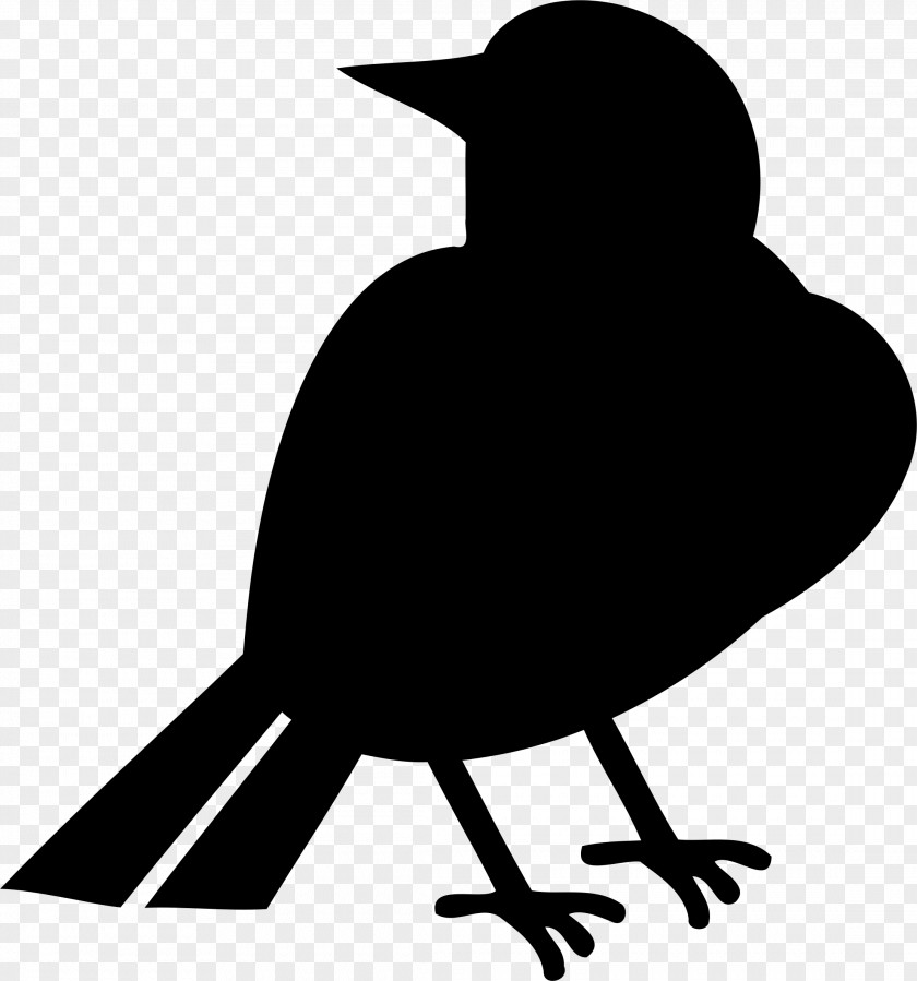 Bird Silhoutte Clip Art PNG