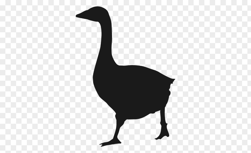 Goose Daisy Duck Silhouette Drawing PNG