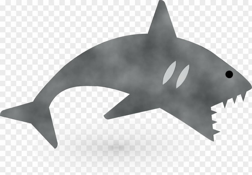 Requiem Shark Animal Figure Great White Background PNG