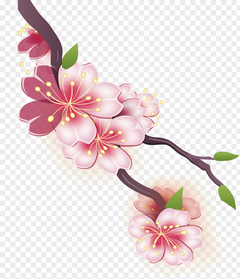 Watercolor Cherry Blossom Design Drawing Painting PNG