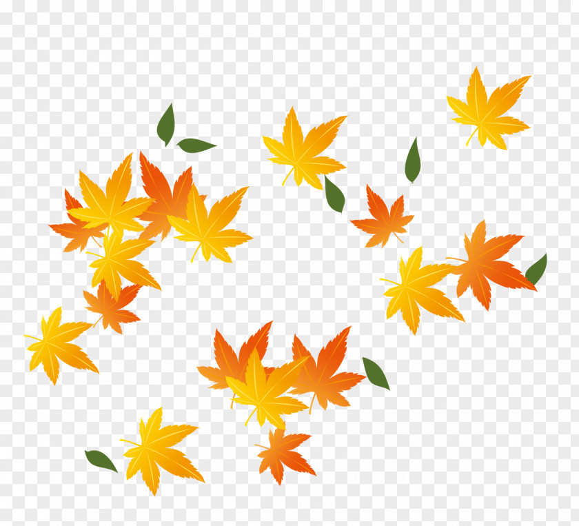 Autumn Maple Leaves Red Leaf PNG