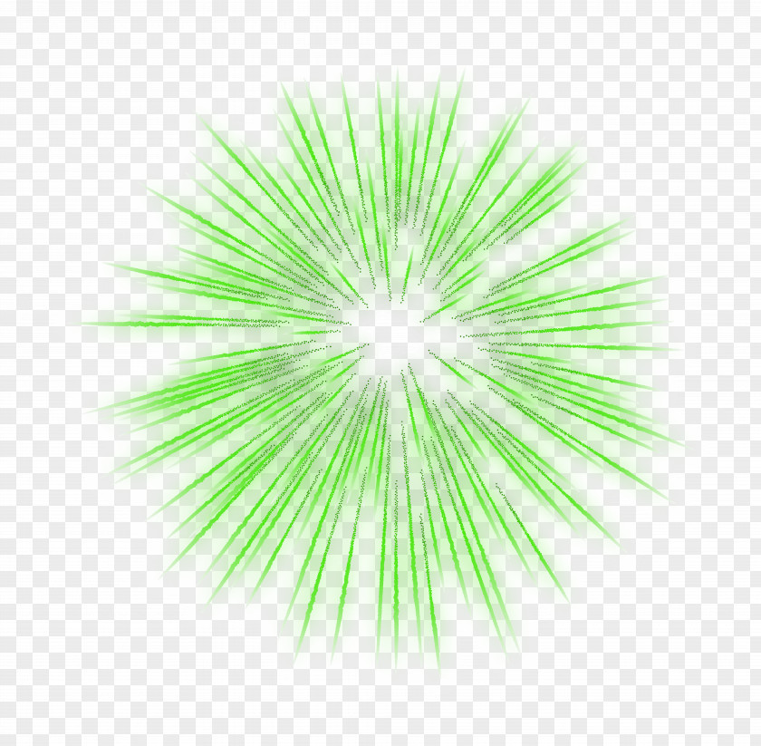 Firework Green Transparent Clip Art Image Animation The Venerable December Pyrotechnics PNG