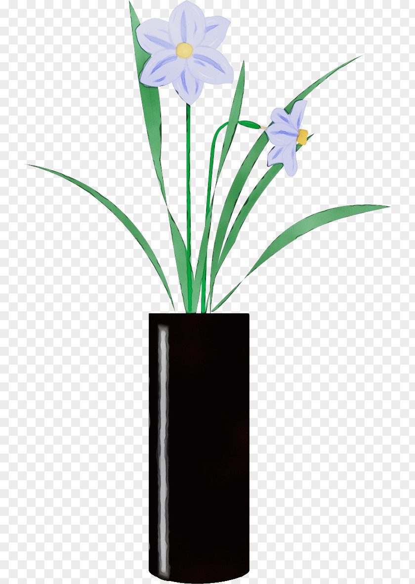 Flower Plant Flowerpot Houseplant Amaryllis Belladonna PNG