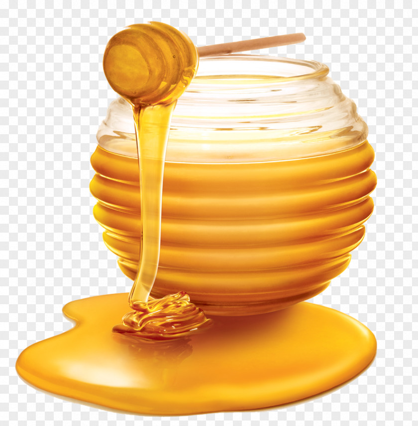 Honey Western Bee Clip Art PNG