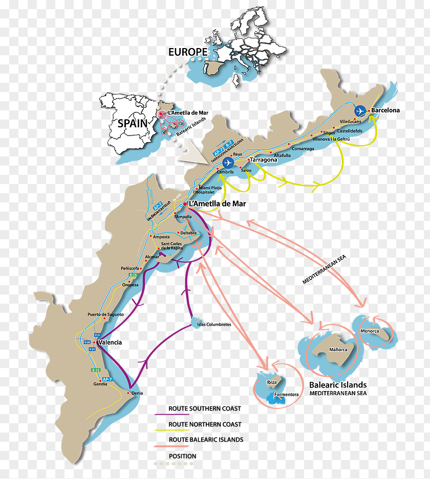 Map Line Organism Tuberculosis PNG