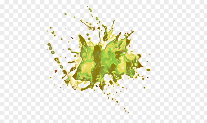 Plant Yellow Green Leaf Background PNG