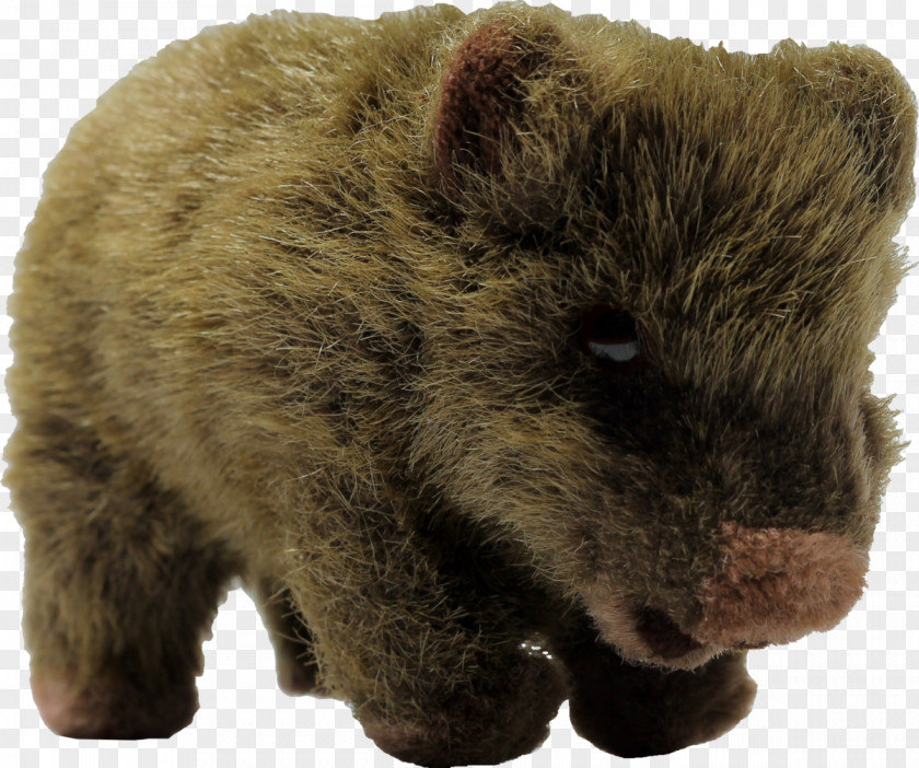 Wombat Stuffed Animals & Cuddly Toys Ty Inc. Hug Wikipedia PNG