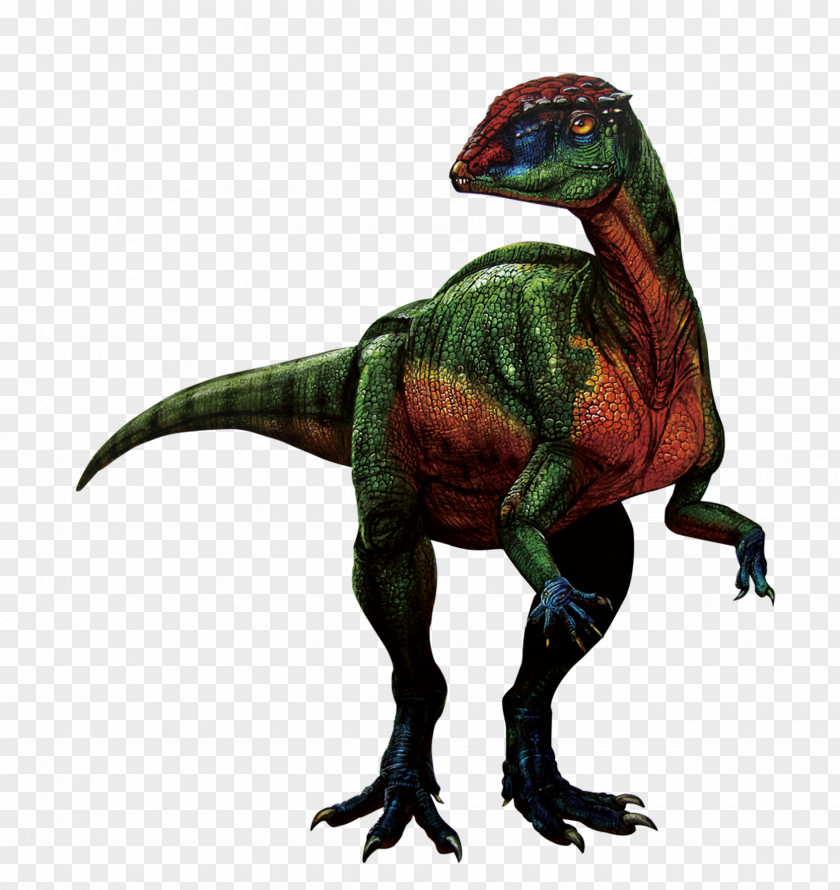 Ancient Dinosaur Tyrannosaurus Velociraptor Ankylosaurus Triceratops Nanotyrannus PNG