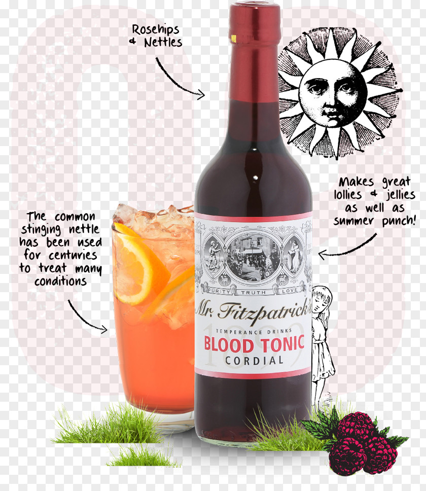 Cocktail Liqueur Tonic Water Syrup Wine PNG