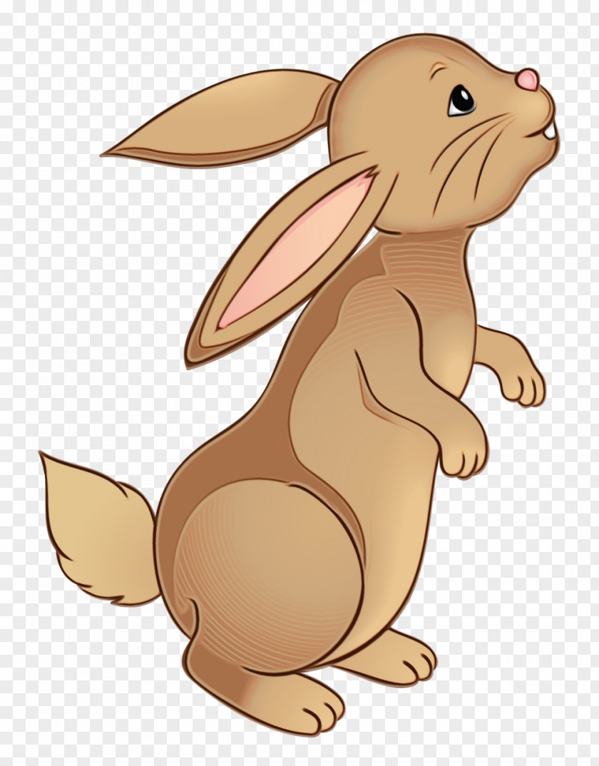 Domestic Rabbit Animal Figure Cartoon Hare Rabbits And Hares Brown PNG