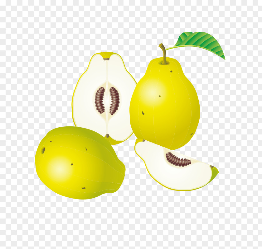 Pear Fruit Clip Art PNG