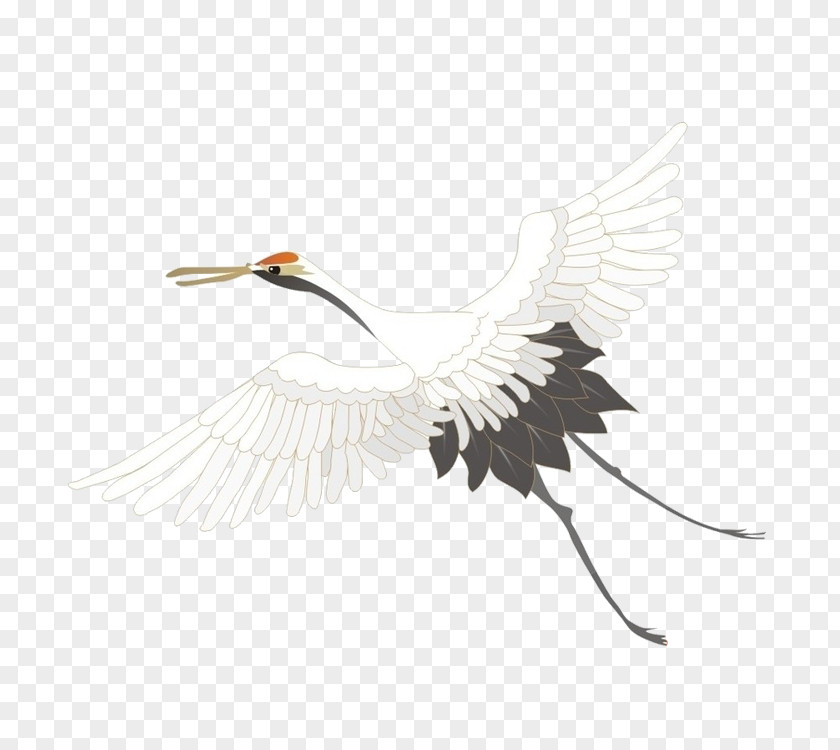 Red-crowned Crane Fly Free To Pull The Material Painting PNG