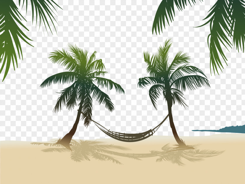 Vector Hammock Hanging On The Coconut Tree Arecaceae Stock Photography Royalty-free PNG