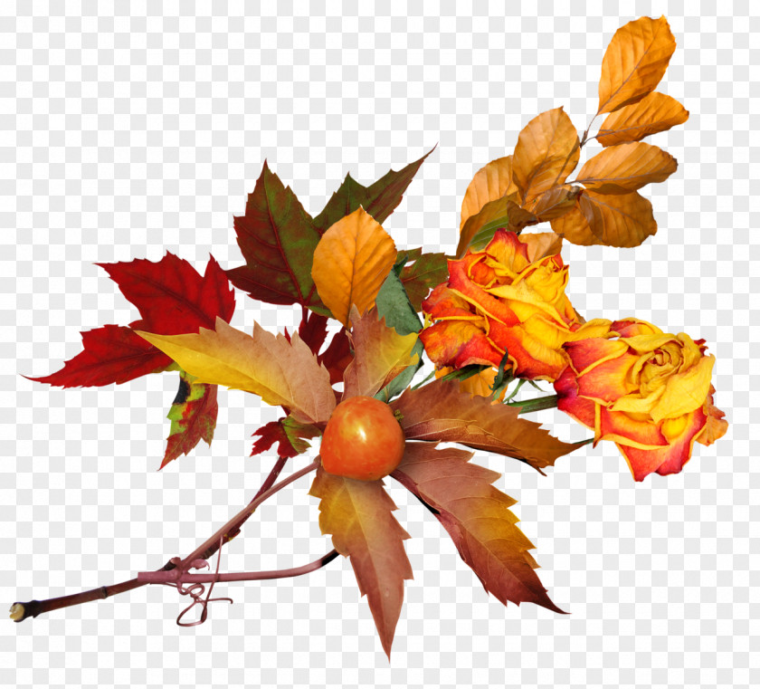 Autumn Leaves Flower Desktop Wallpaper Clip Art PNG