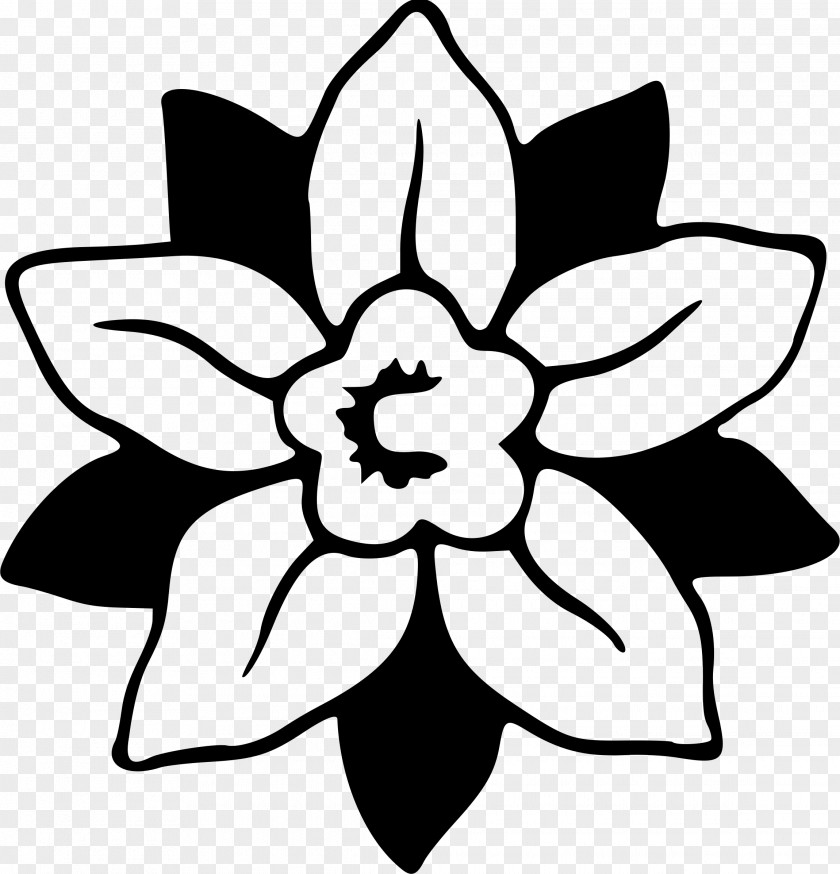 Creative Traditional Lotus Flower Plum Lace Aspartic Acid Fluorene Butyl Group Fluorenylmethyloxycarbonyl Chloride PNG