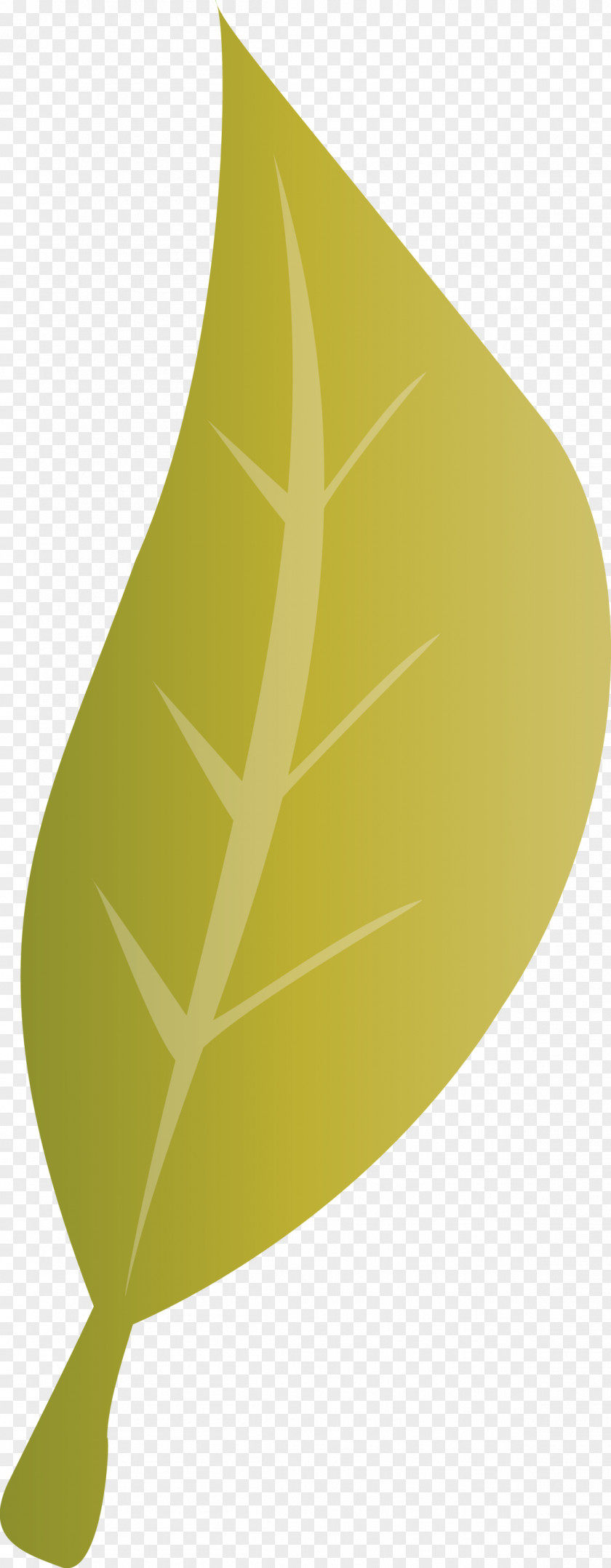 Leaf Angle Line Plant Structure Plants PNG