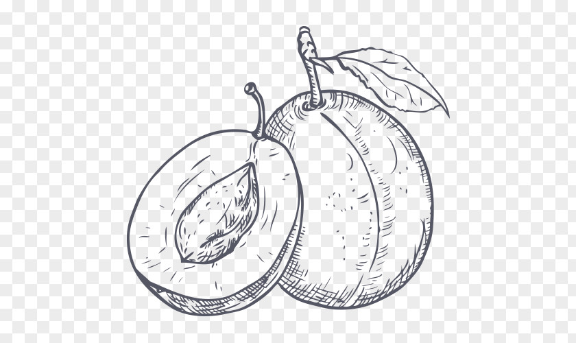 Plum Drawing Line Art Royalty-free PNG