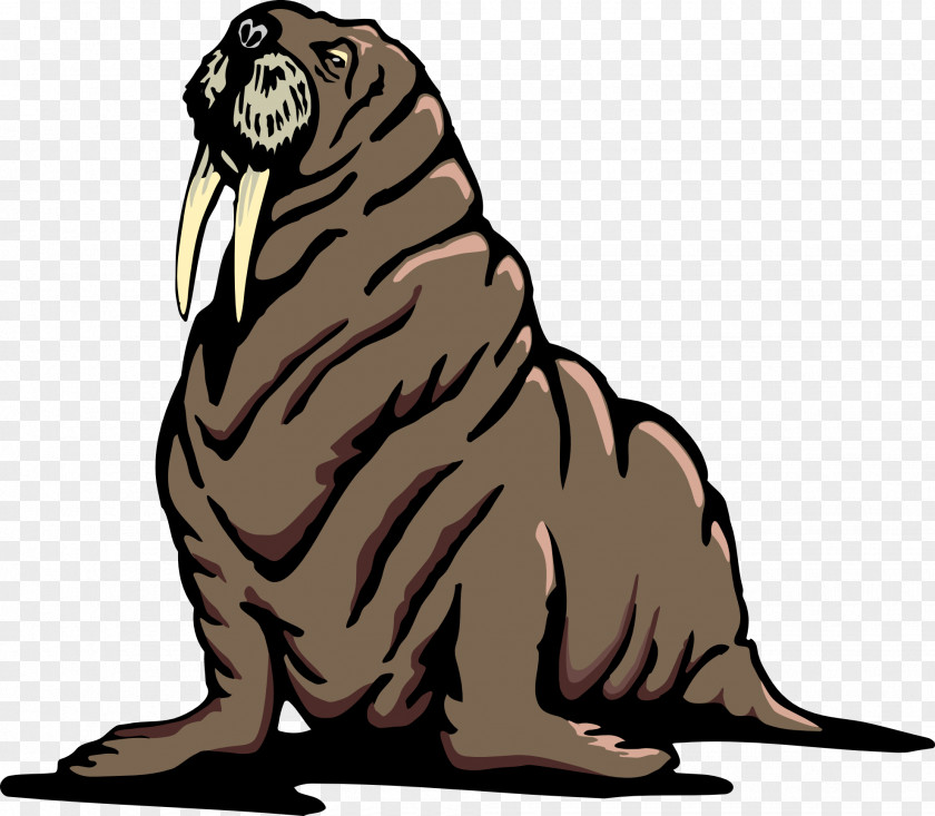 Walrus Cliparts Free Content Clip Art PNG