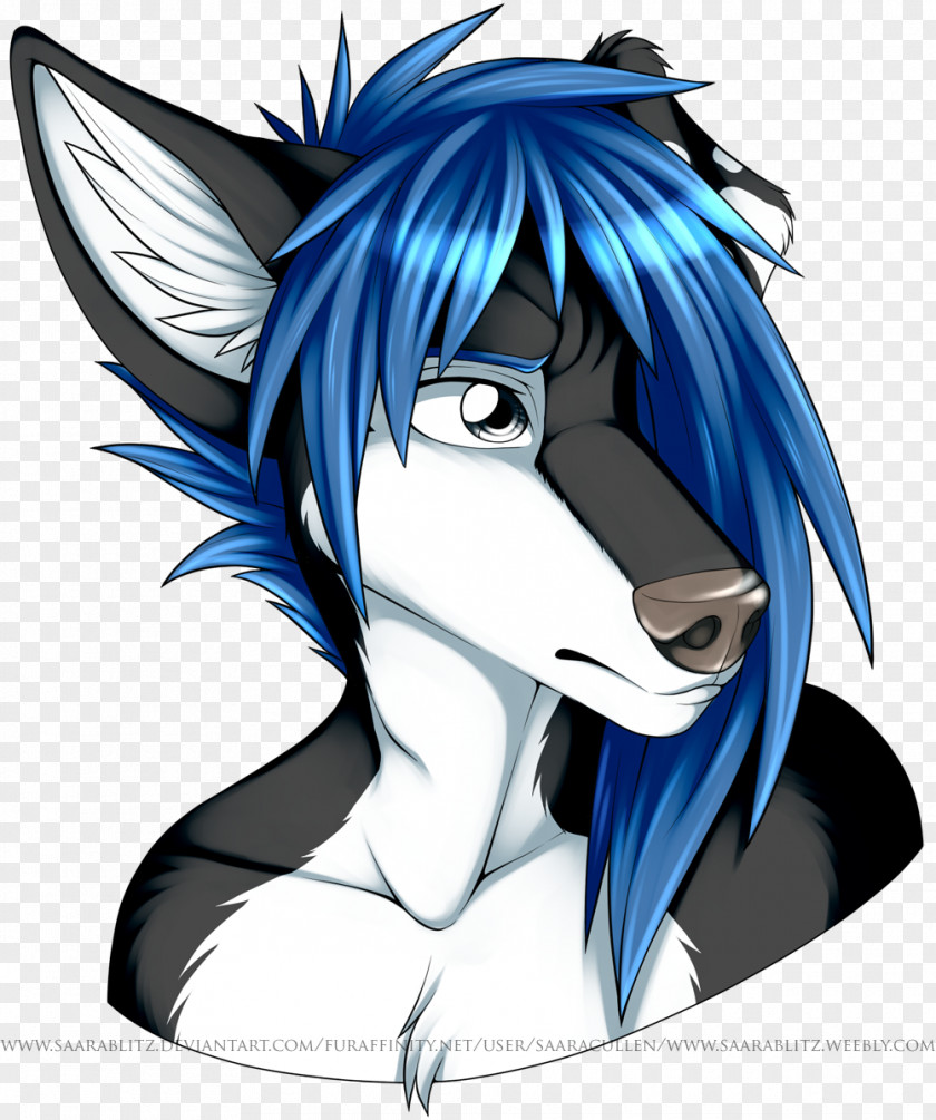 Blue Heeler Border Collie Mix Work Of Art Drawing DeviantArt PNG