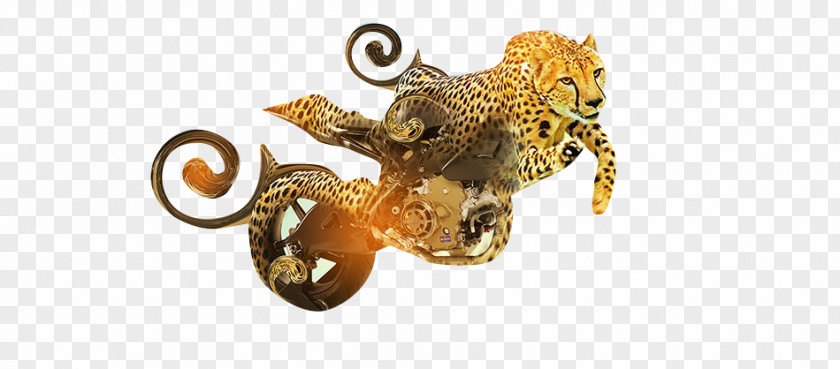 Leopard Car Motorcycle Poster Wallpaper PNG