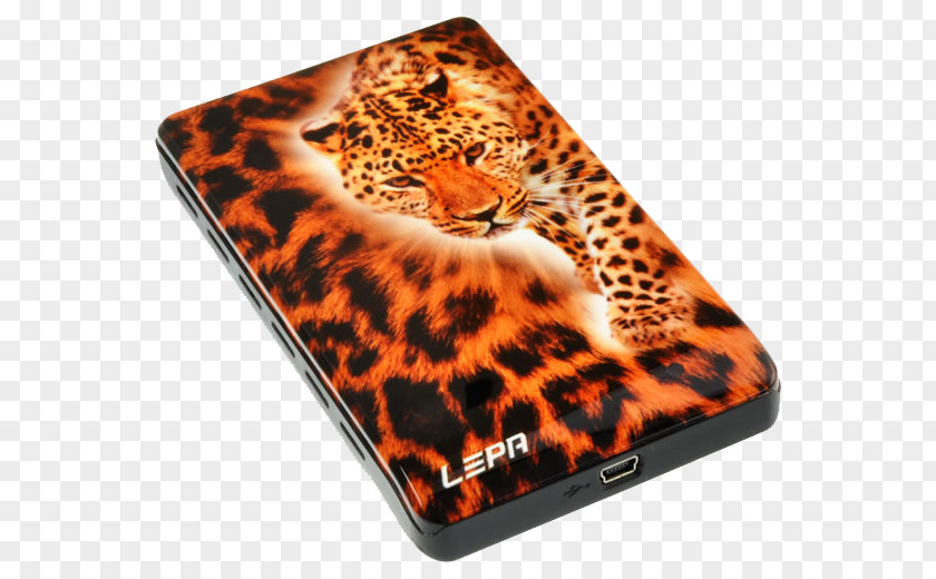 Peripherals Computer Cases & Housings Personal Jaguar Hard Drives Peripheral PNG