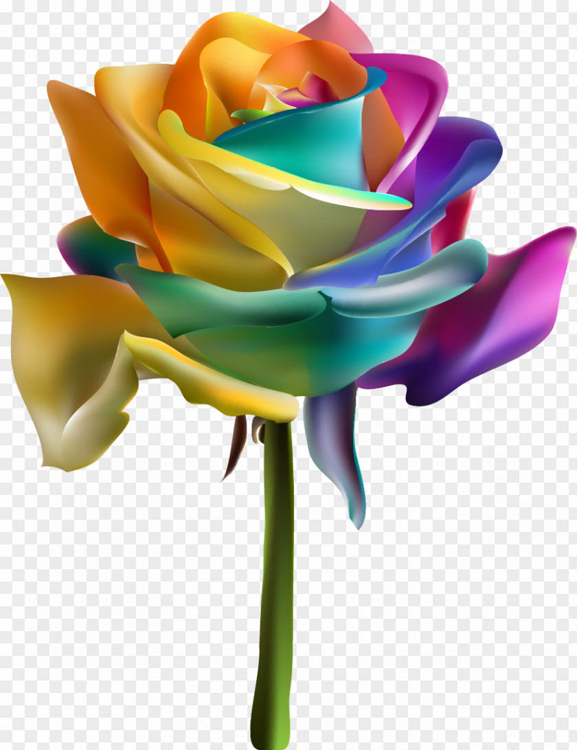 Vector Flowers Rainbow Rose Garden Roses Euclidean PNG