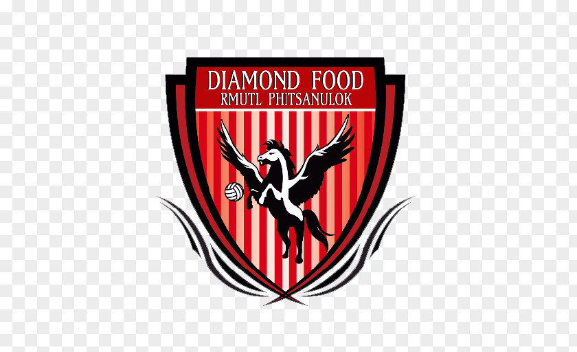 Volleyball Players Phitsanulok Club Diamond Food Product Co., Ltd. PNG