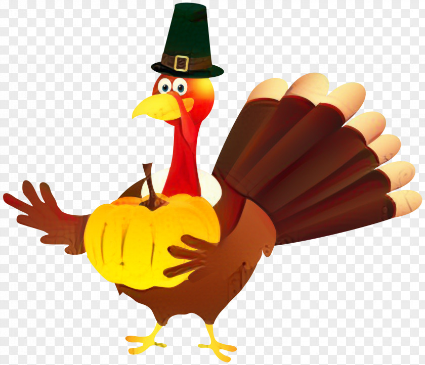 Beak Rooster Turkey Thanksgiving Cartoon PNG