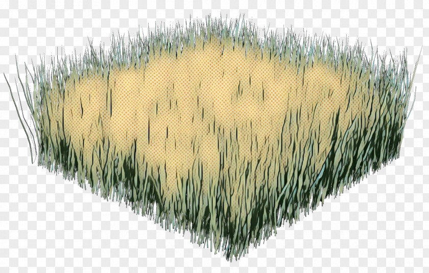 Feather Fur Green Grass Background PNG