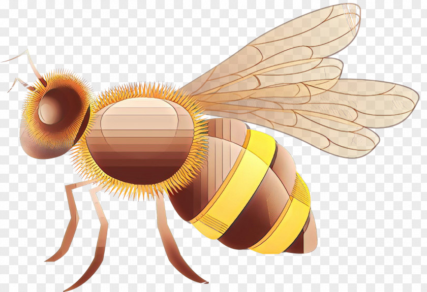Fly Wing Bumblebee PNG
