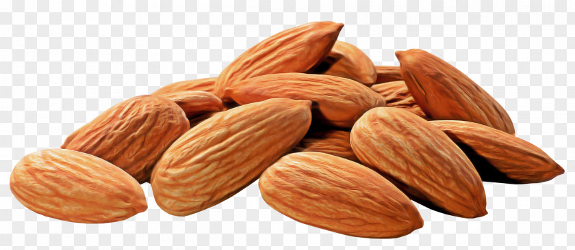 Prunus Ingredient Almond Nut Food Superfood Nuts & Seeds PNG