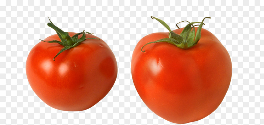 Tomato Plum Bush Varenye Fruit PNG