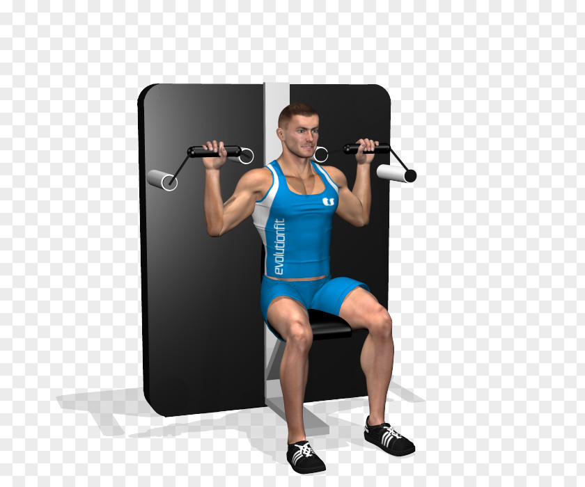 Barbell Weight Training Weightlifting Machine Fitness Centre Calf PNG